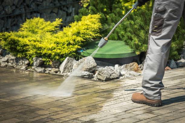 Best Gutter Cleaning and Brightening in Park View, IA