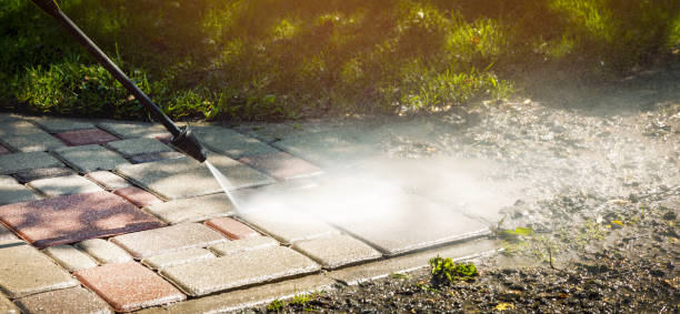 Best Driveway Cleaning and Restoration in Park View, IA